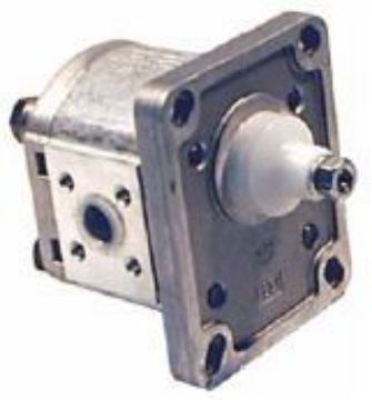 Picture of Gear Pump - Group 1 Euro Mount (STD Taper Shaft) for Port Adaptor