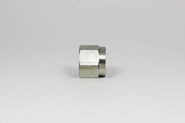 Picture of F83-N - ORFS Nut Only