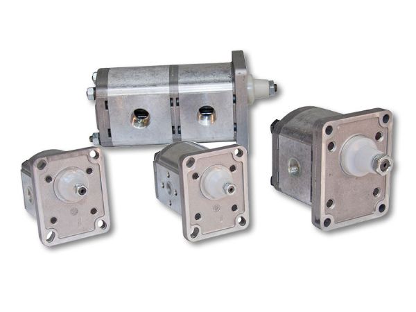 Picture for category Casappa PLP Series