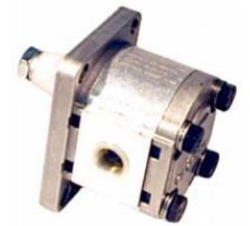 Picture of Gear Pump - Group 1 Euro Mount (STD Taper Shaft) for BSPP Ports