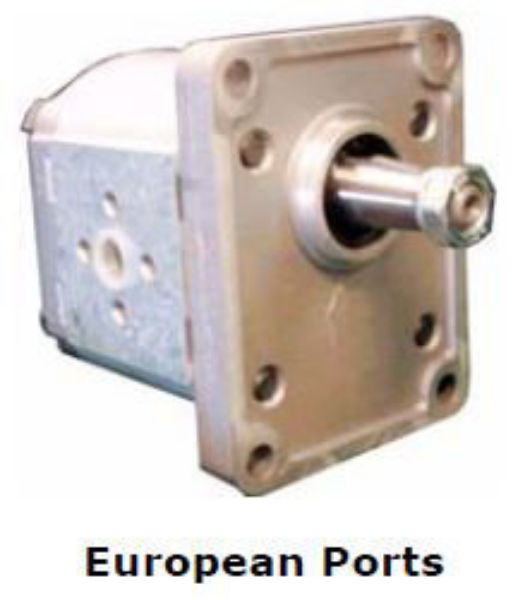 Picture of Gear Pump - Group 2 Euro Mount (Taper Shaft) for European Ports