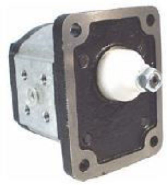 Picture of Gear Motor - Group 1 Euro Mount (H/Duty Taper Shaft) for BSPP ports