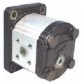 Picture of Gear Motor - Group 1 Euro Mount (H/Duty Taper Shaft) for BSPP ports