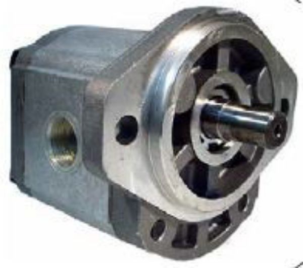 Picture of Gear Motor - Group 2 Euro Mount for BSPP ports